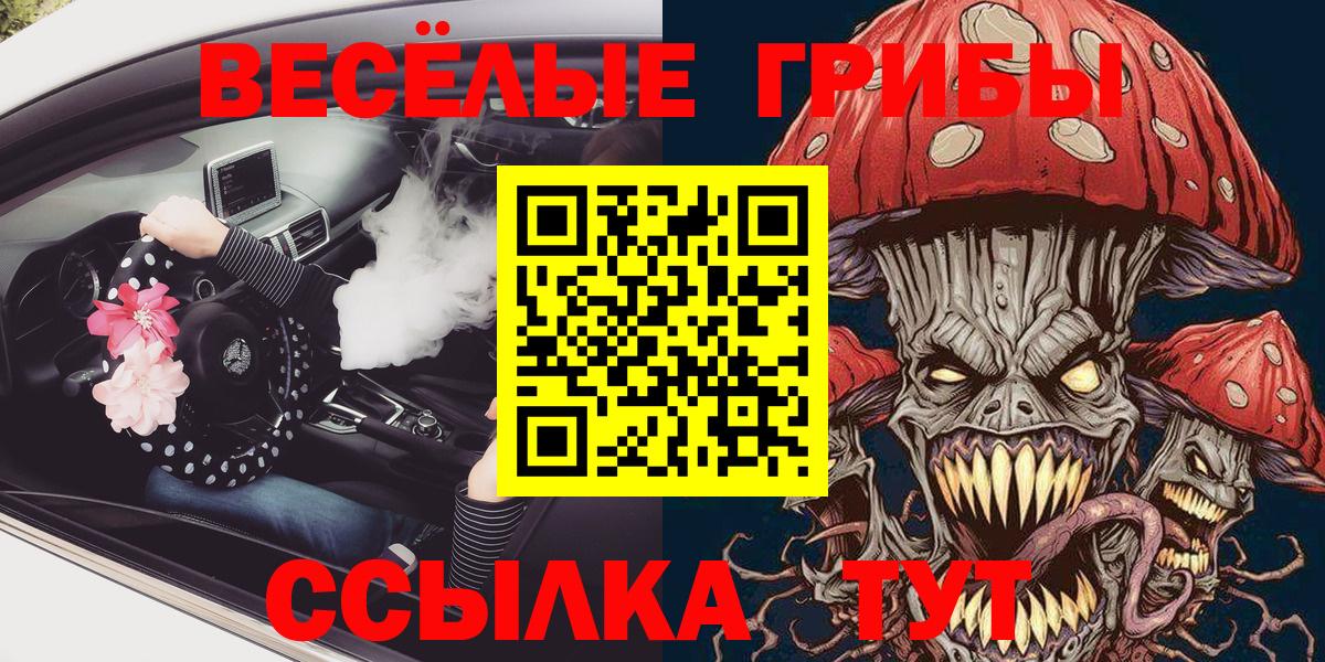 Псилоцибиновые грибы мицелий Сыктывкар