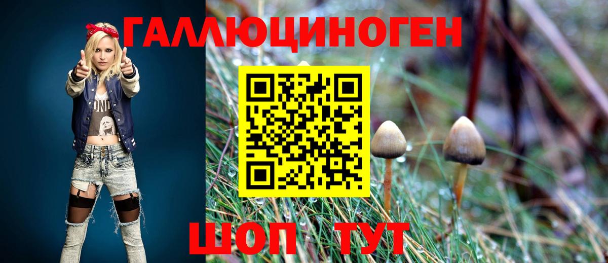 Псилоцибиновые грибы Magic Shrooms  Вход с VPN  Сыктывкар 